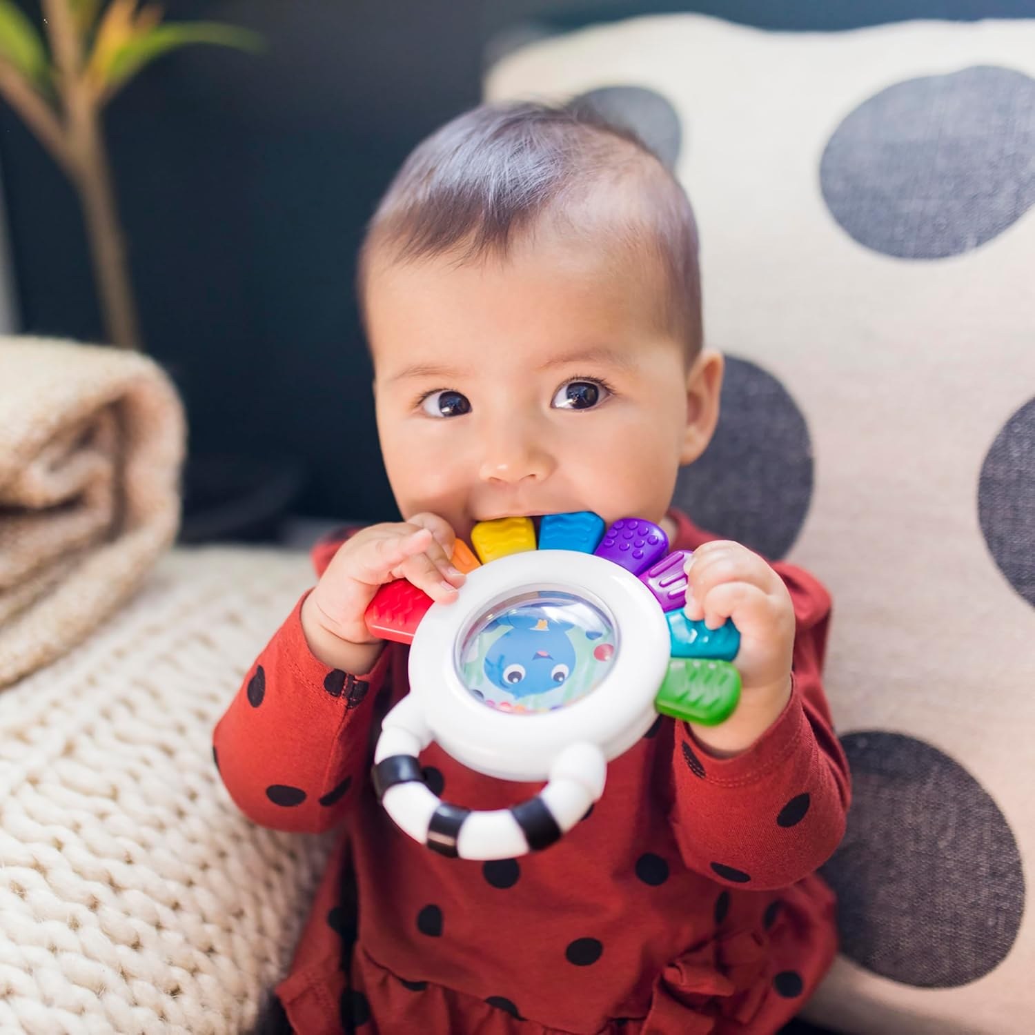 Baby Einstein Outstanding Opus The Octopus Sensory